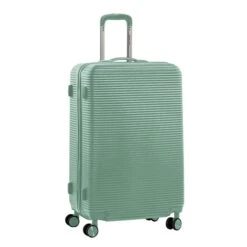 Daniel Ray Baltimore Trolley L Mint